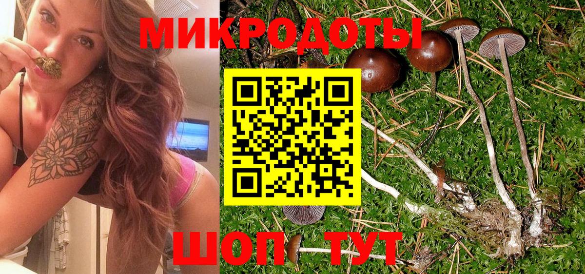 Корсаков  Псилоцибиновые грибы прущие грибы  Псилоцибиновые грибы Cubensis  Вход с VPN 